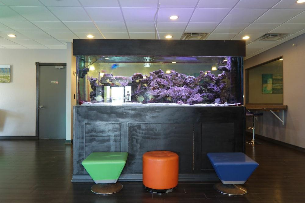 Emerald Coast Inn & Suites Fort Walton Beach Eksteriør bilde